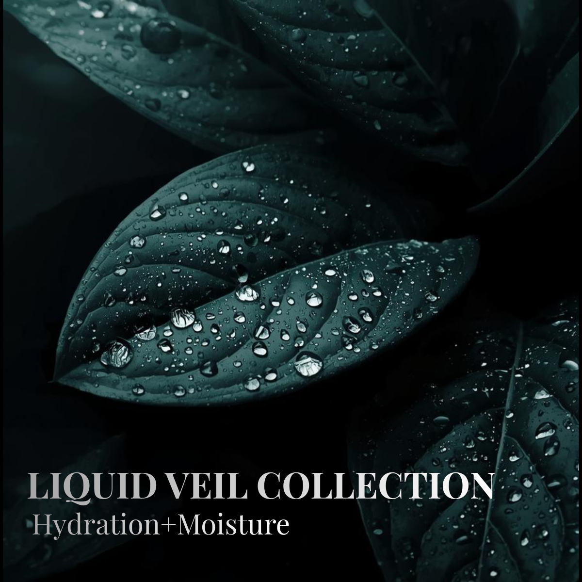 Liquid Veil (Hydration+Moisture)